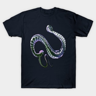 Xenodermus Javanicus dragon snake T-Shirt